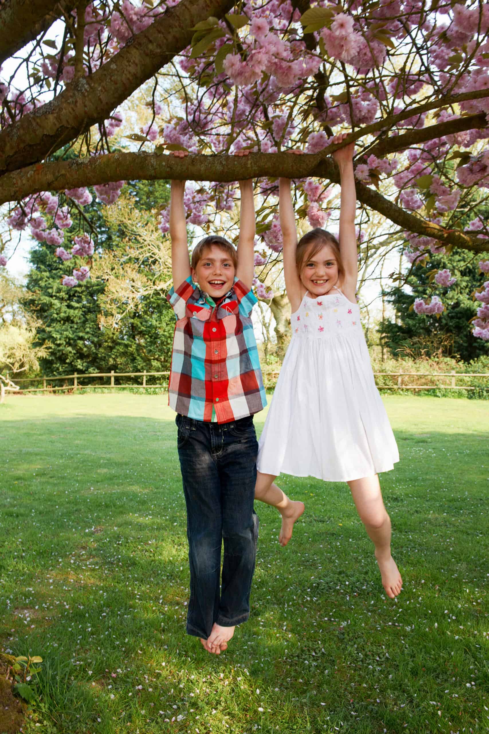 Children swinging from tree in backyard garden